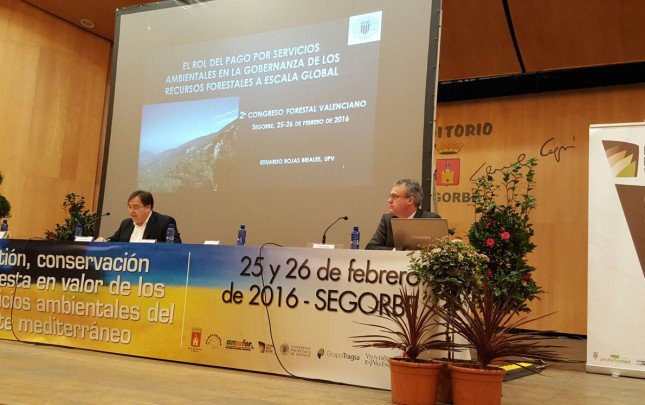 Ponencias II Congreso Forestal de la Comunitat Valenciana
